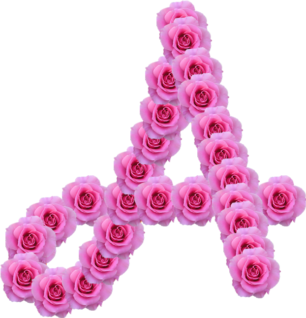 Alfabeto Decorativo Rosas Png - Garden Roses (679x693), Png Download