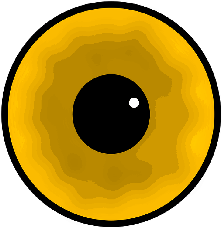 Eye, Black, Yellow, Circle, White, Cartoon, Dot - Fish Eye Clip Art (800x806), Png Download
