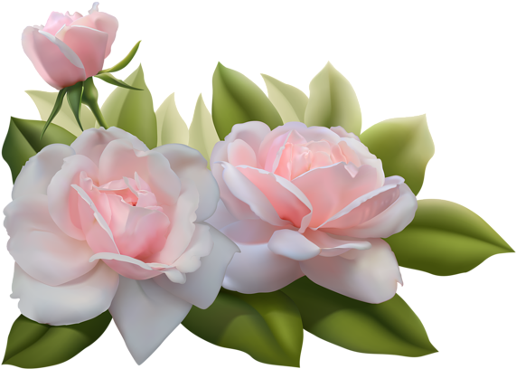 Pink Rose Clipart Three - Beautiful 3d Flower Png (600x429), Png Download