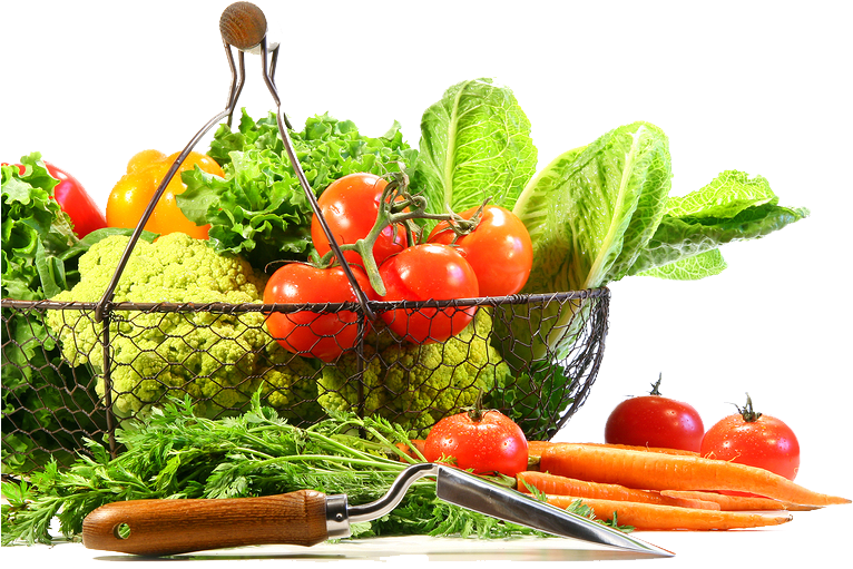 Vegetable Png Image - Vegetable (900x600), Png Download