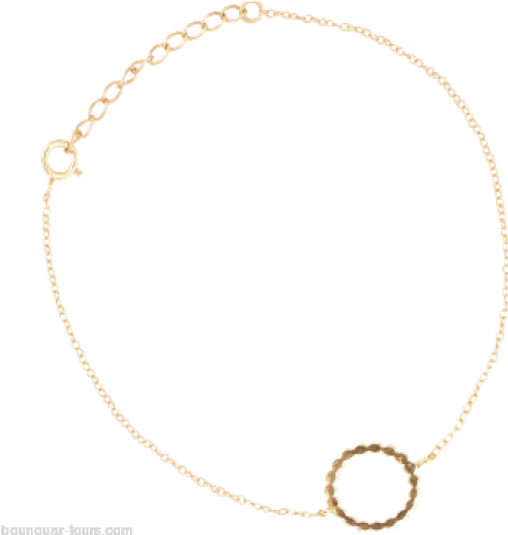 Women Gold All The Luck In The World Bracelet Fortune - Necklace (500x500), Png Download