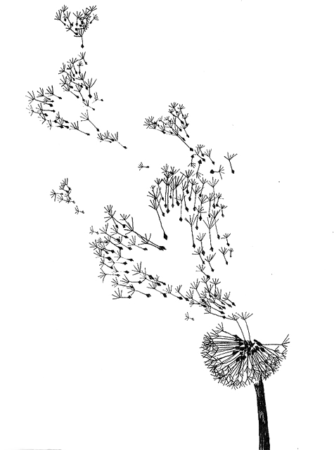 Common Fashion Illustration Watercolor - Dandelions Sketch (475x640), Png Download