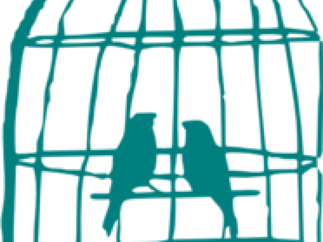 Birdcage Drawing (640x480), Png Download