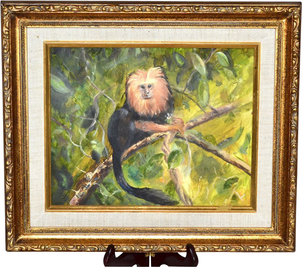 Tamarin Monkey Framed Painting - Picture Frame (971x971), Png Download