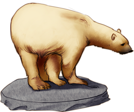 A Bear - Brown Bear (632x611), Png Download
