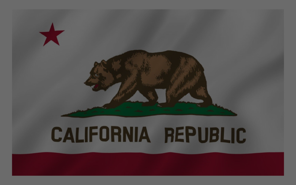 Foot California Republic Flag Ca Usa (1000x625), Png Download