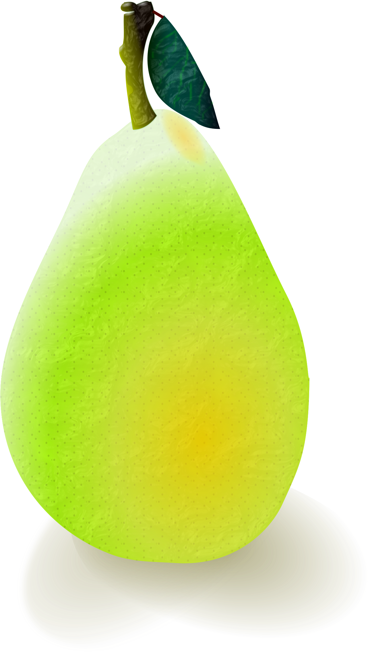 Pear Png (1587x2400), Png Download