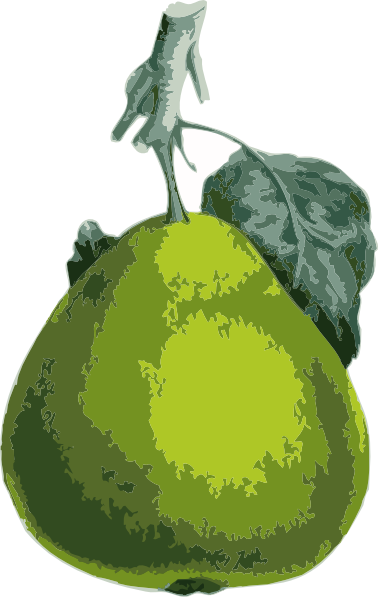 How To Set Use Pear Clipart (378x597), Png Download