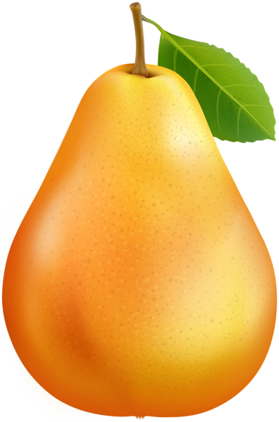 Fresh Pear Png Clip Art Image - Portable Network Graphics (396x600), Png Download