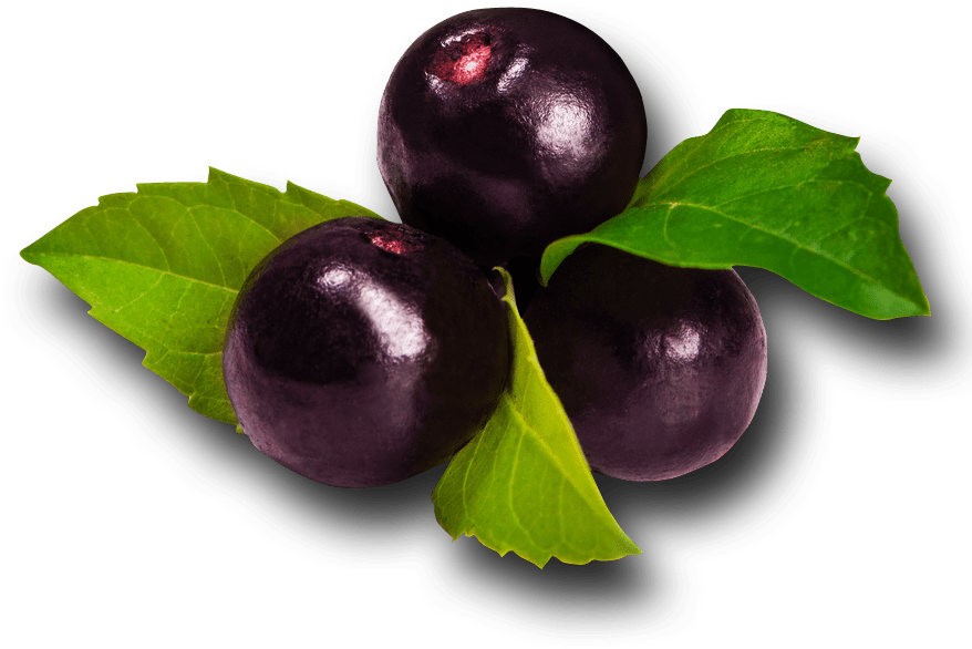 A Ai Noble Drinks - Açai Berry (900x900), Png Download