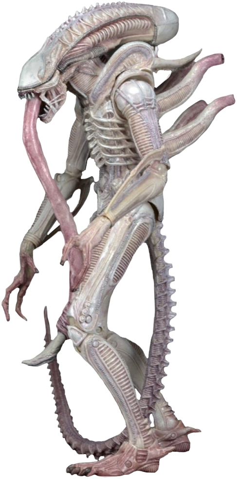 Albino Xenomorph - Alien Albino Neca (487x984), Png Download