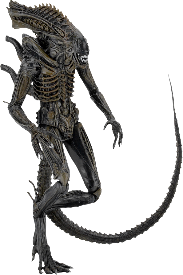 Aliens - - Neca Alien Defiance Xenomorph (595x893), Png Download