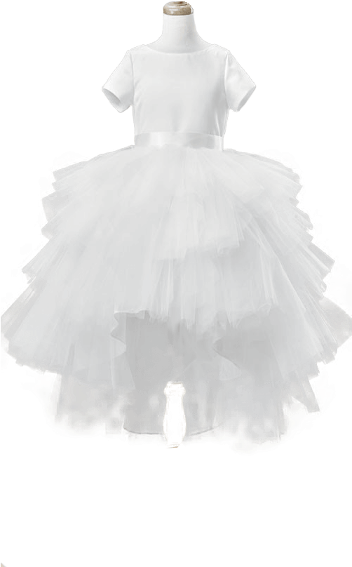 Pixie Dust - Ballet Tutu (501x921), Png Download