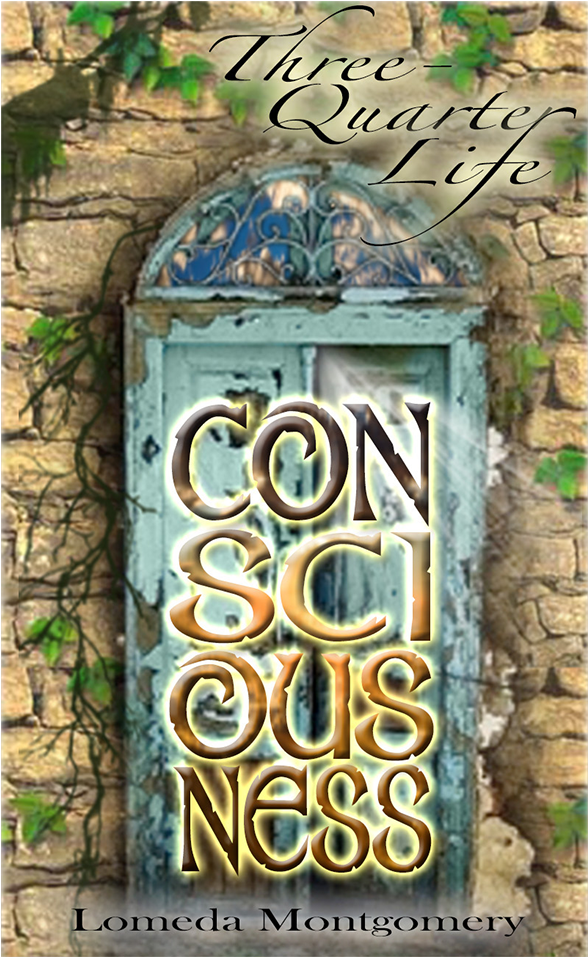 Three-quarter Life Consciousness Novel Tqlc Icon - Icon (960x960), Png Download