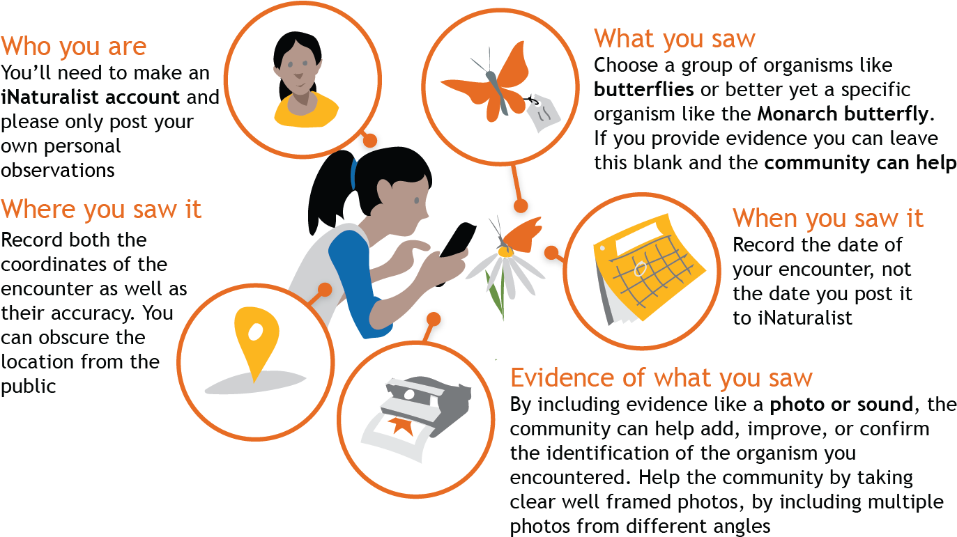 This Includes Encounters With Signs Of Organisms Like - Observation In Science (1381x772), Png Download