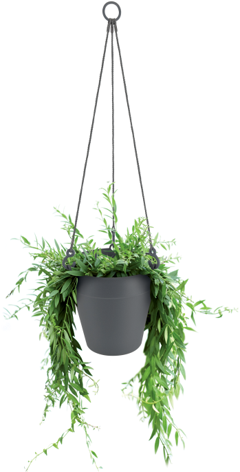 Home > Collection > Loft Urban Hanging Basket - Christmas Tree (750x750), Png Download