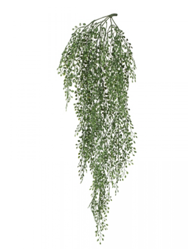 Hanging Plant For Screen (1000x1000), Png Download
