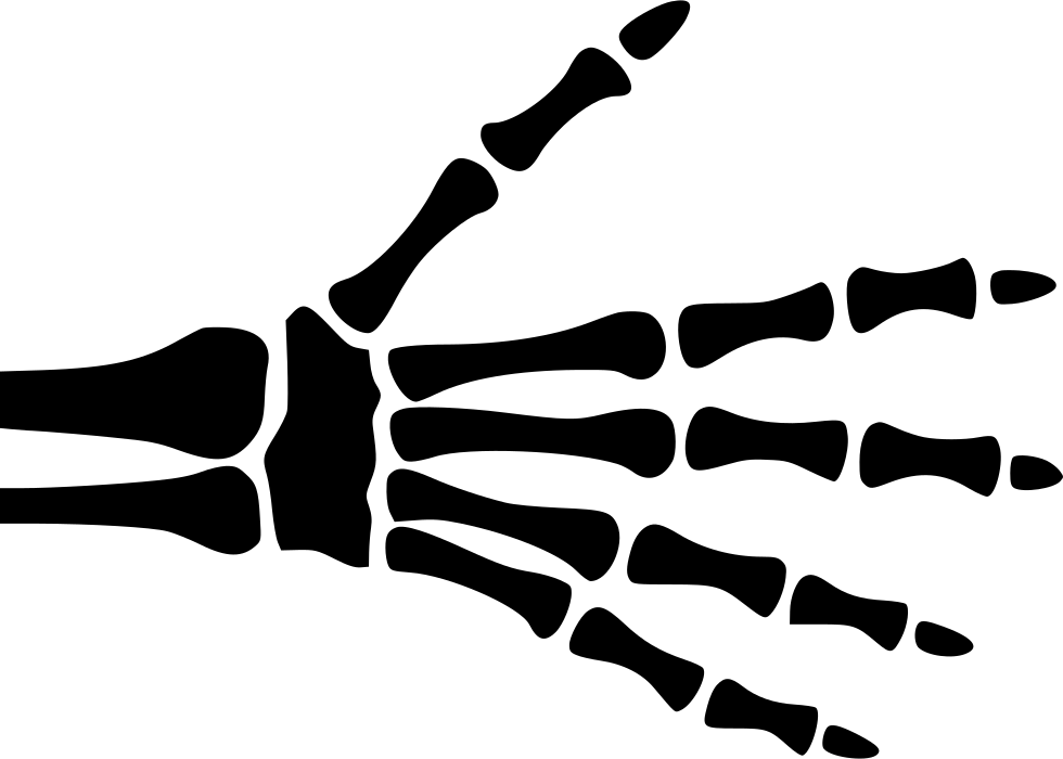 Hand Skeleton - - Skeleton Hand Svg File (980x700), Png Download