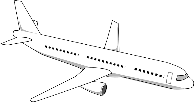 Grandma, Plane, Flowers - Safety Airport (640x336), Png Download