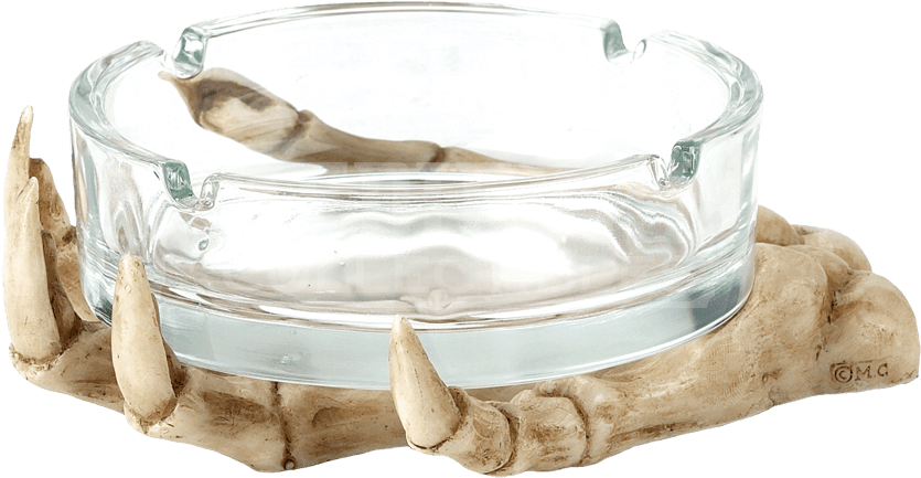 Skeleton Hand Ashtray - Cradle (851x851), Png Download