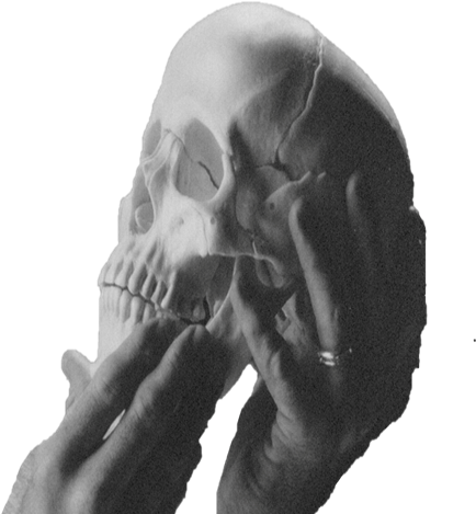 Skull And Hand - Skull (469x481), Png Download