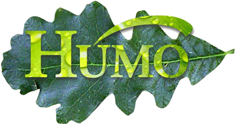 Logo (500x280), Png Download