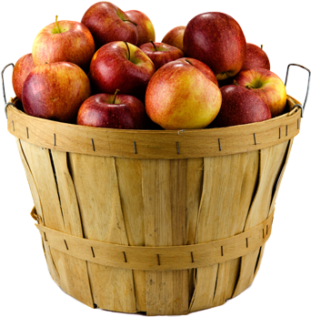 Family Owned Orchard & Bakery - Landluft Für Anfänger - 12 (449x351), Png Download