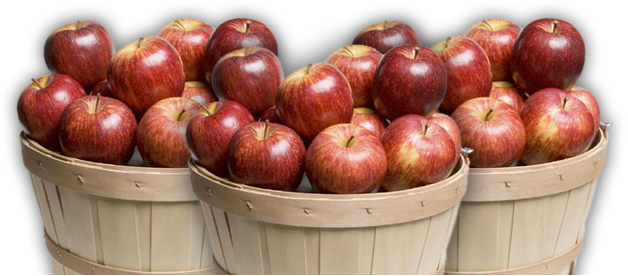 Altamont Orchards - Apples In A Basket (628x276), Png Download
