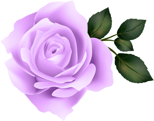 Rose Clip Art Image Gallery Yopriceville High - Yellow Rose Clipart Png (600x472), Png Download