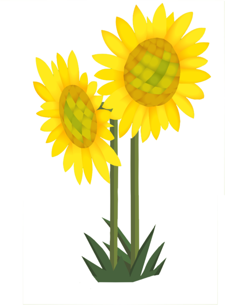 Sunflowers - Portable Network Graphics (1000x750), Png Download