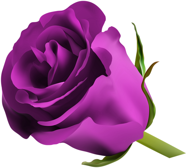 Pink Rose Png, Purple Roses, Make Pictures, Favorite - Purple Rose Png (600x538), Png Download