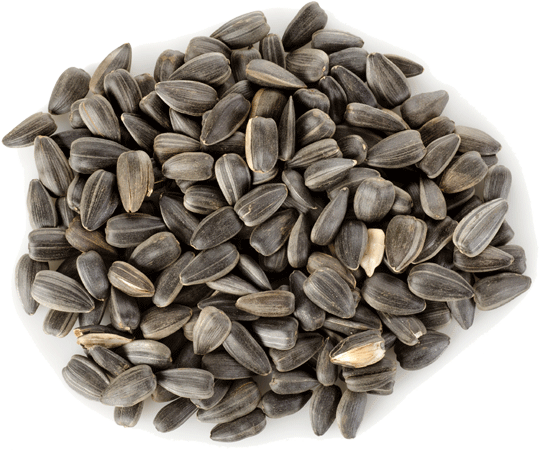 Sunflower Seeds Png Hd - Linwoods Organic Milled Sunflower & Pumpkin Mix (768x550), Png Download