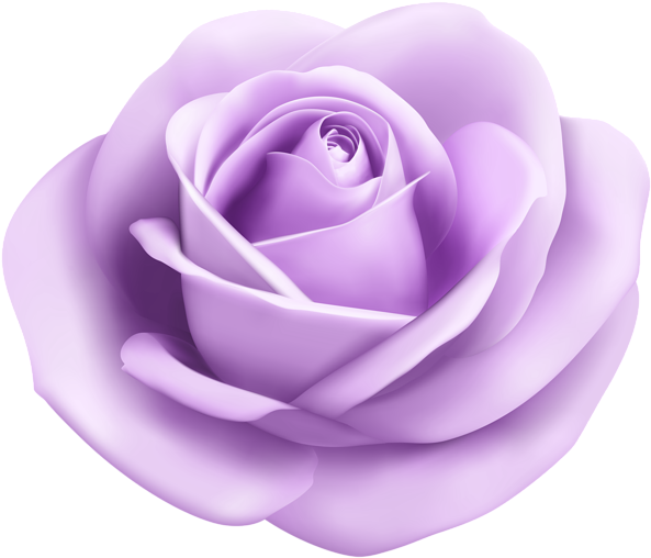 Purple Purpleflower Purplerose Pastel Lightpurple Laven - Light Purple Flower Png (600x513), Png Download