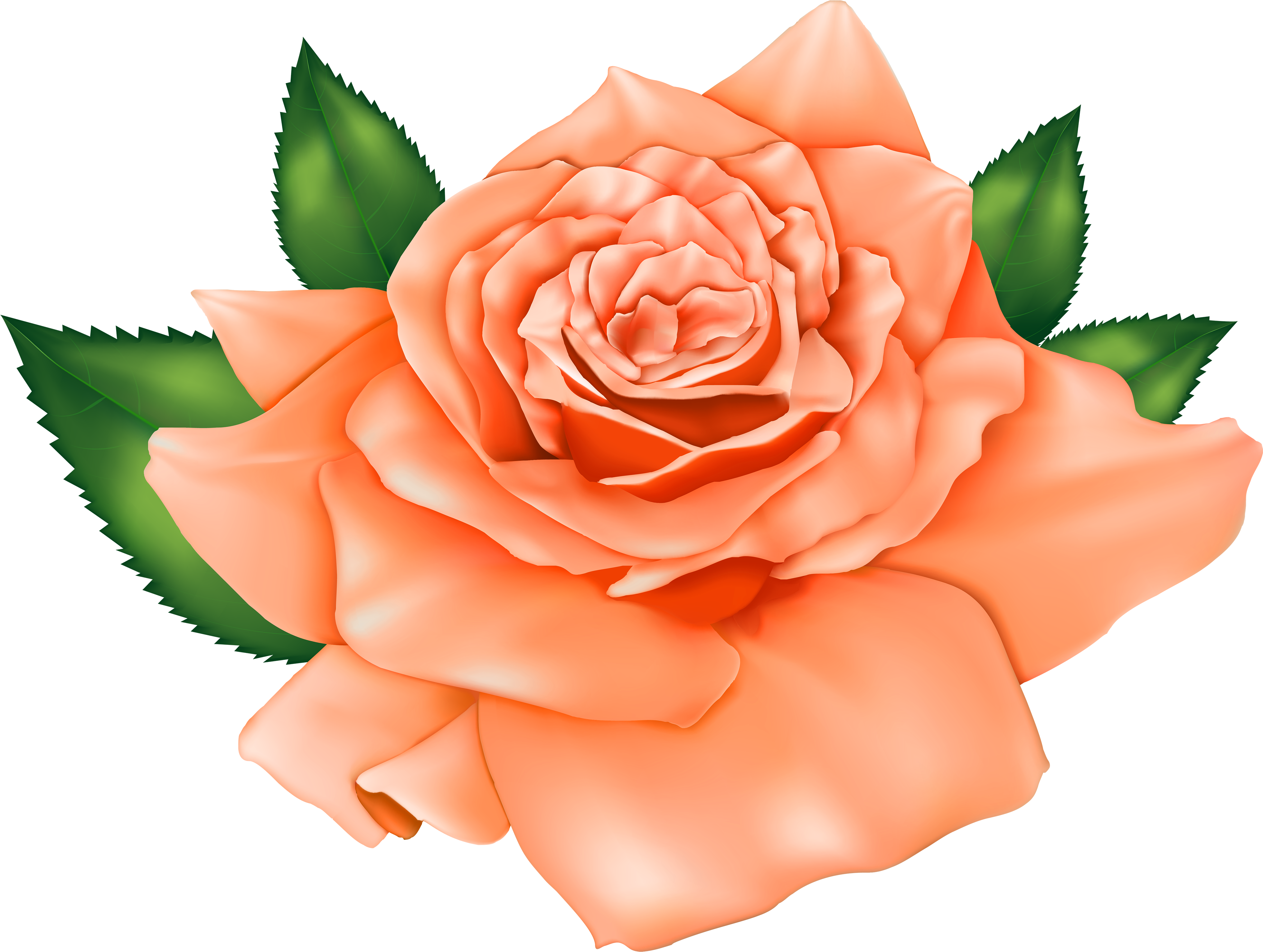 Orange And Purple Flower Clipart - Flores Color Durazno Png (4000x3014), Png Download