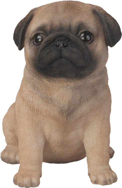 Pet Pal Pug Puppy - Sitting Pug (649x900), Png Download