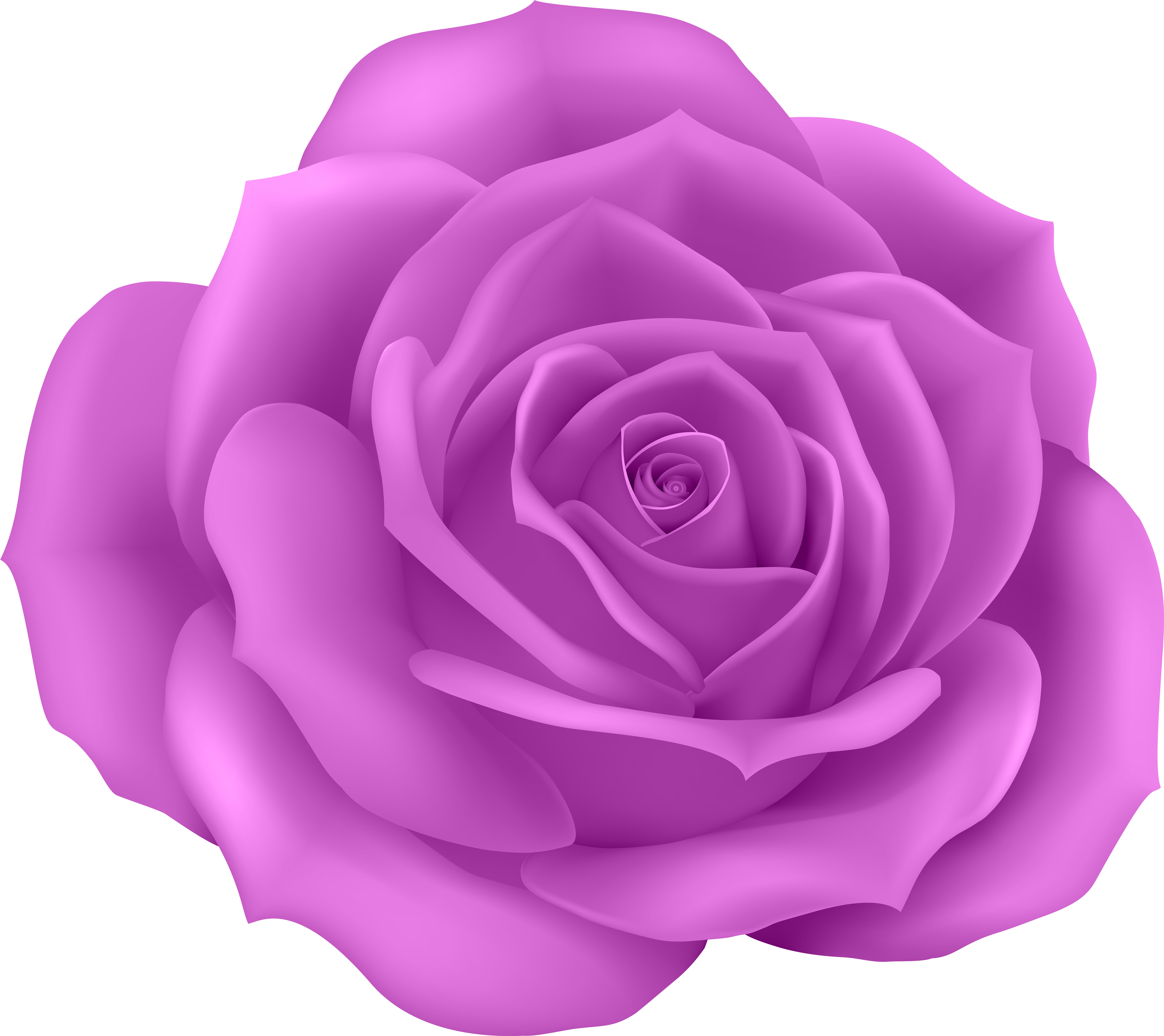 Rose Purple Clip Art Png Image Gallery Yopriceville (8000x7122), Png Download