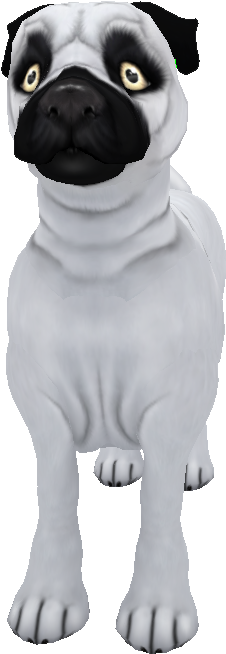 Pug Morrison White - Pug (522x752), Png Download