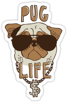 Pug Life Logo (375x360), Png Download