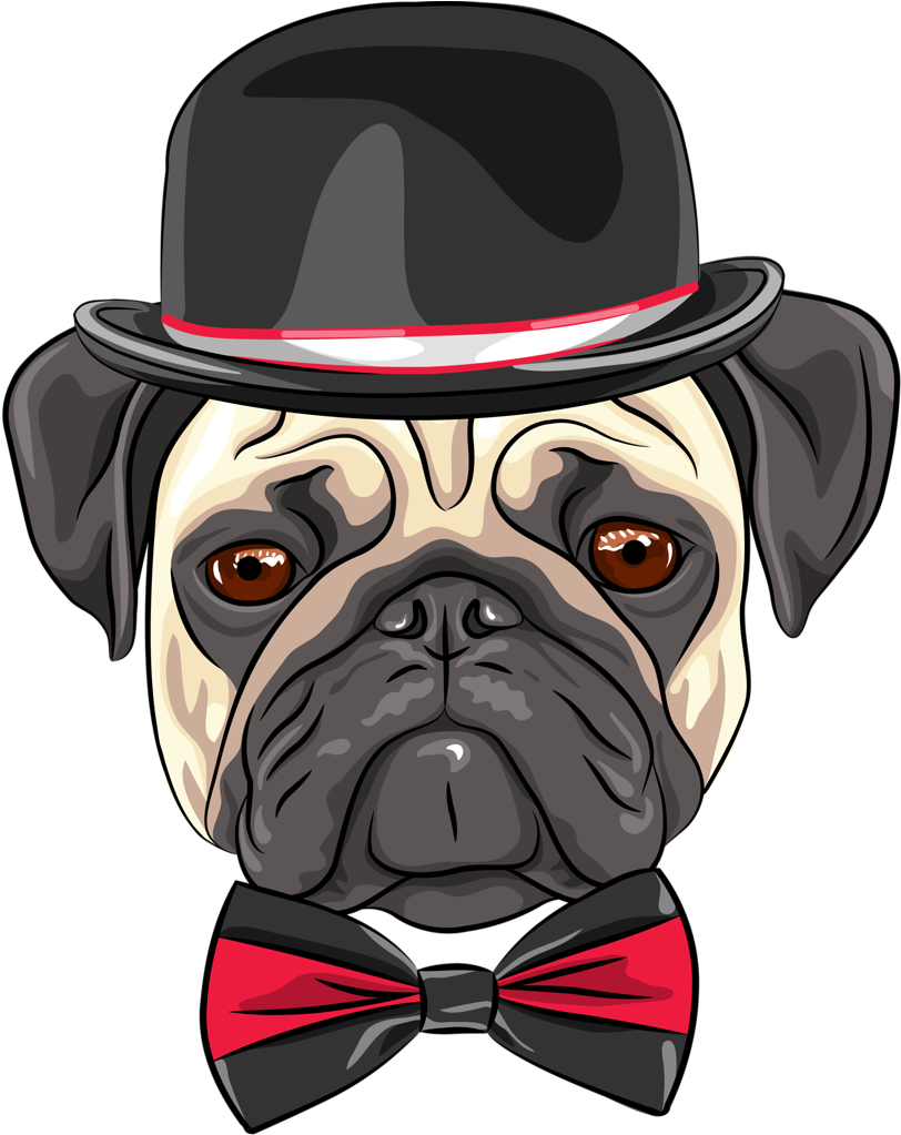 Cães & Gatos - Youtube Profile Picture Pug (829x1024), Png Download