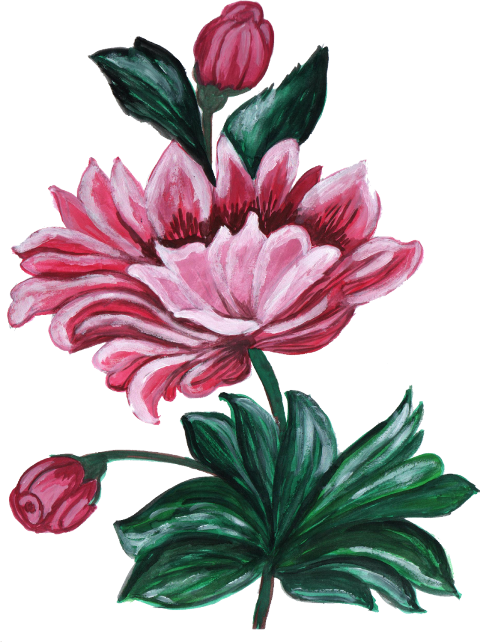 Portable Network Graphics (480x642), Png Download