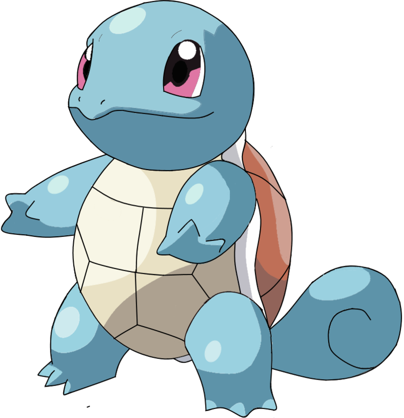 Squirtle - Squirtle Png (800x828), Png Download
