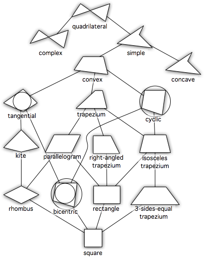 Http - //image - Absoluteastronomy - Hierarchy - Png - Quadrilateral Hierarchy (425x527), Png Download