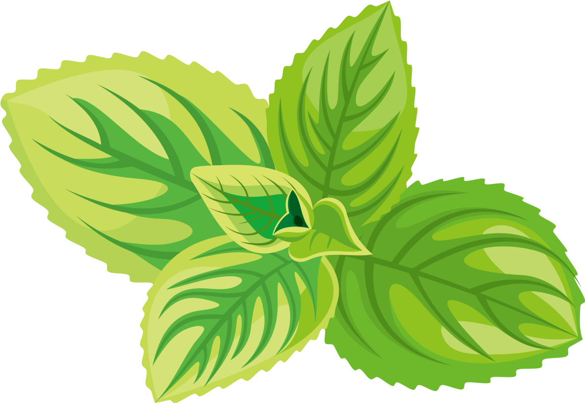 Png Black And White Download Herb Sticker Label Green - Peppermint Icon (1181x1181), Png Download