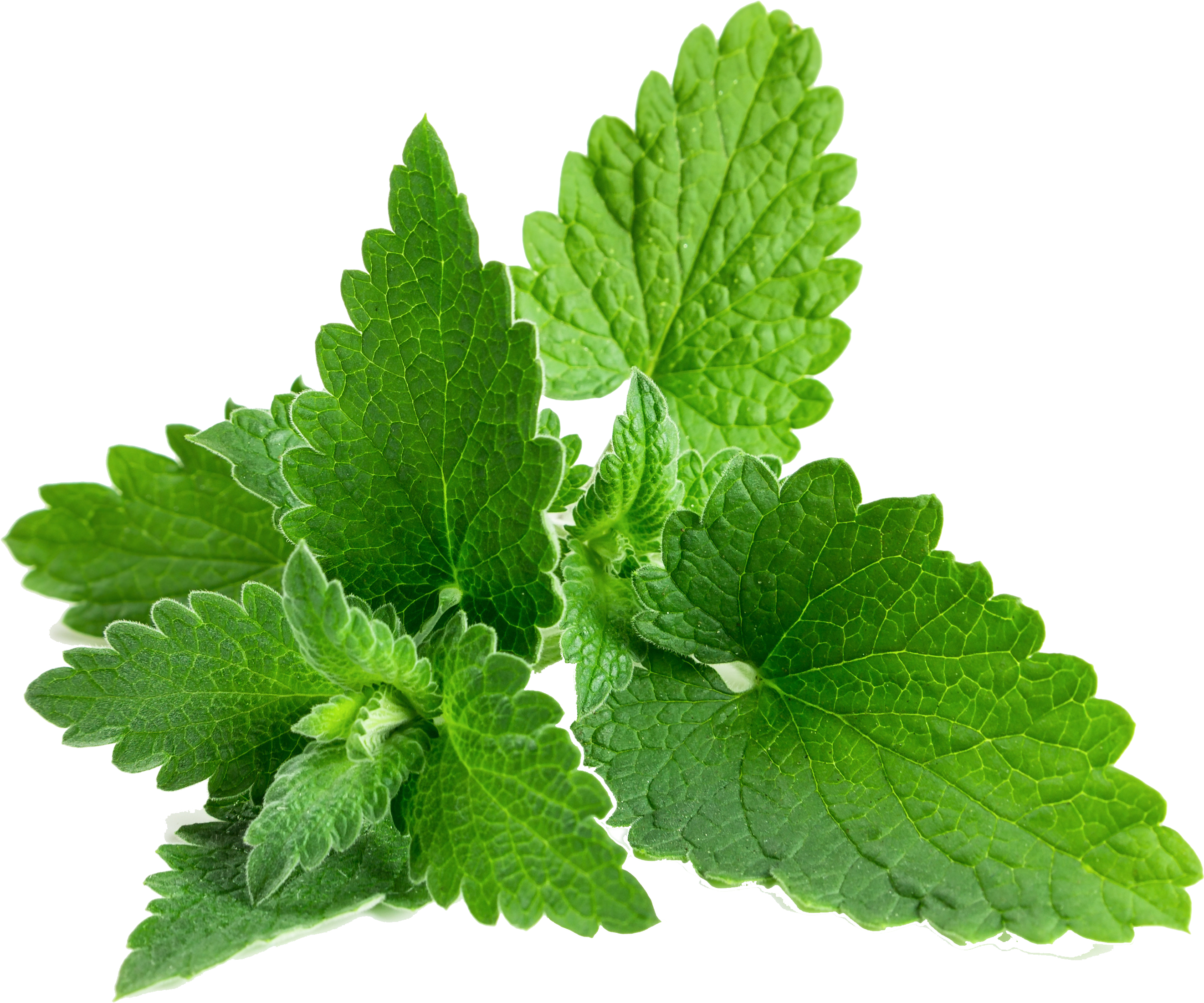 Go To Image - Casserole Dish With Lid - 24 Cm (4272x2848), Png Download