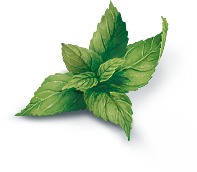 Menta Png Transparent (800x800), Png Download
