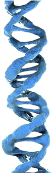Dna 3d Dna Blue Dna Dna Dna Dna Dna Dna - Fountain Of Youth Salk Pills (480x340), Png Download