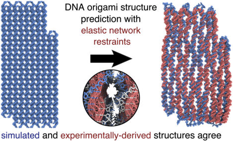 Dna Origami Is A Cost-effective Method Of Controlling - Dna Origami Cryo Em (480x290), Png Download