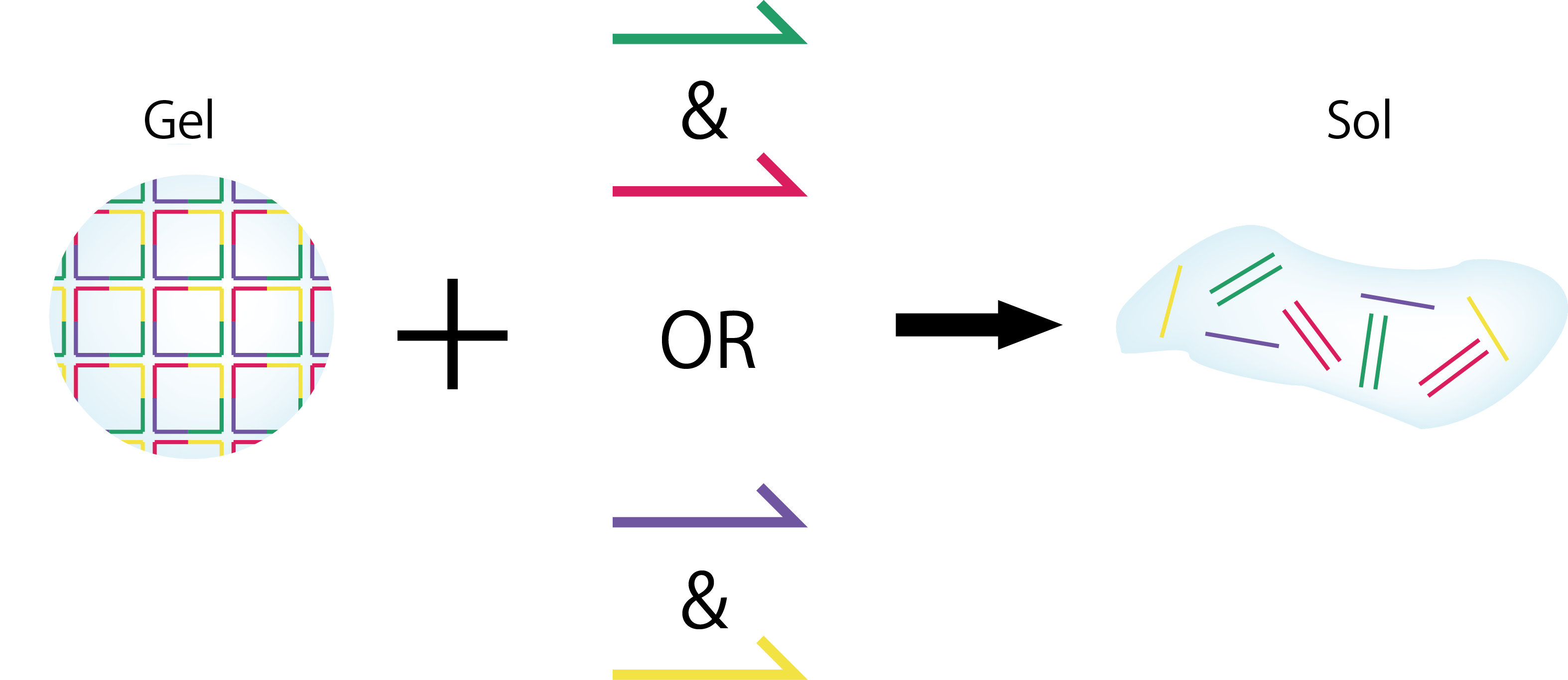 When Adding Only Dna Strand A Or Dna Strand B (stb), - Graphic Design (3148x1366), Png Download