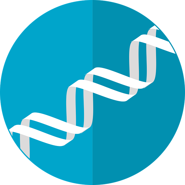 Dna Icon,gene,helix,double - Dna Icon (500x501), Png Download
