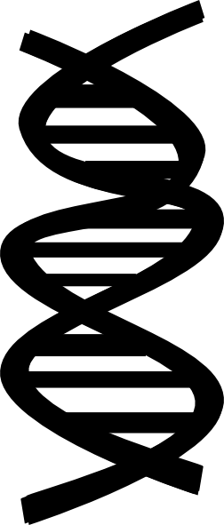 Royalty Free Download Black Clip Art At Clker Com Online - Biology Clipart Black And White (252x591), Png Download